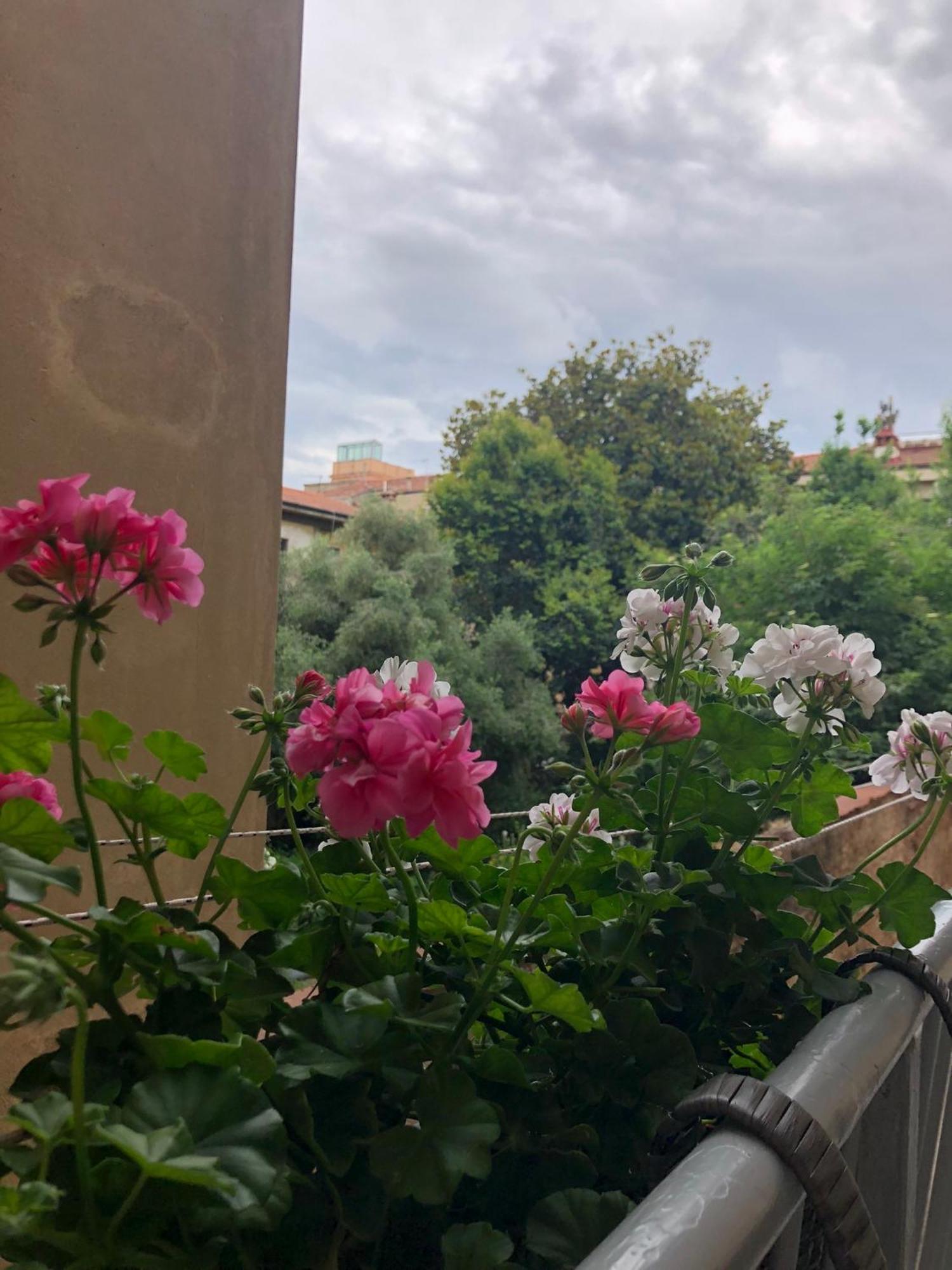 Sonnino House Διαμέρισμα Πίζα Εξωτερικό φωτογραφία